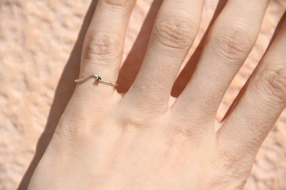 画像9: 煌きを求めて〜ブラウンダイヤモンド〜 (9)