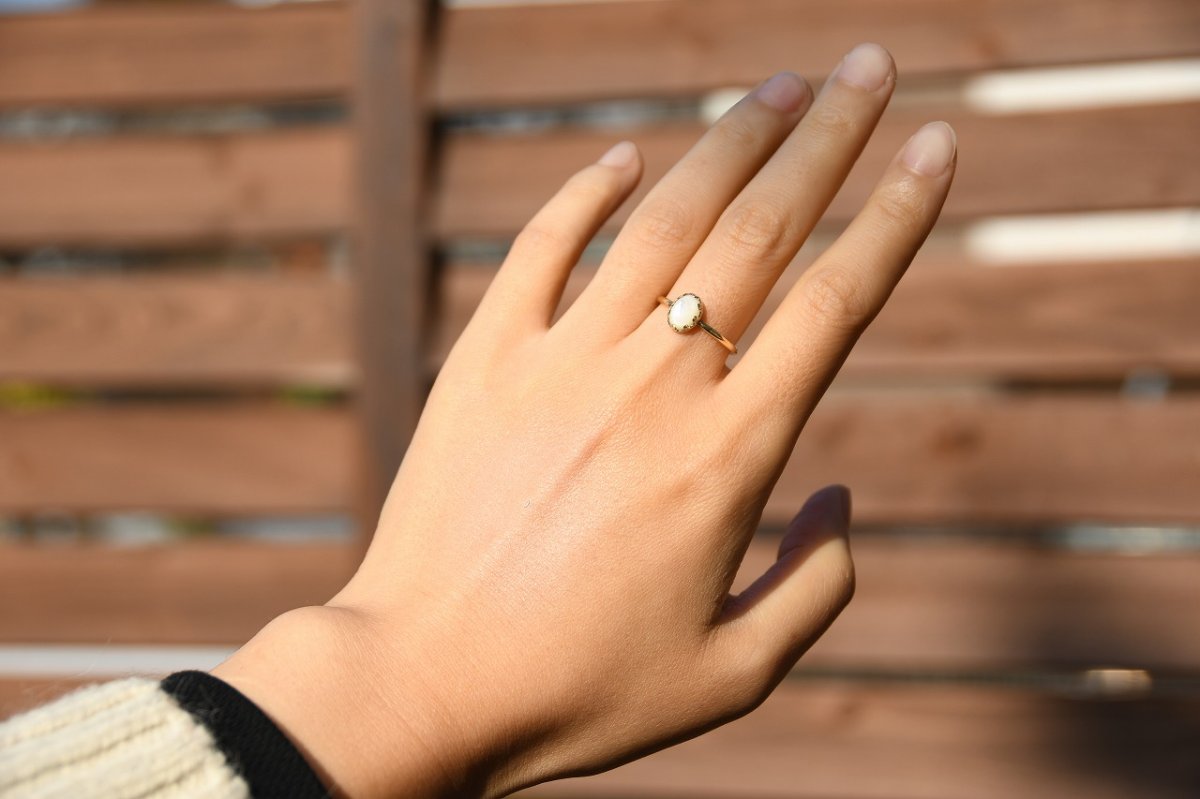 画像8: 古き時の物語〜白蝶貝〜 (8)