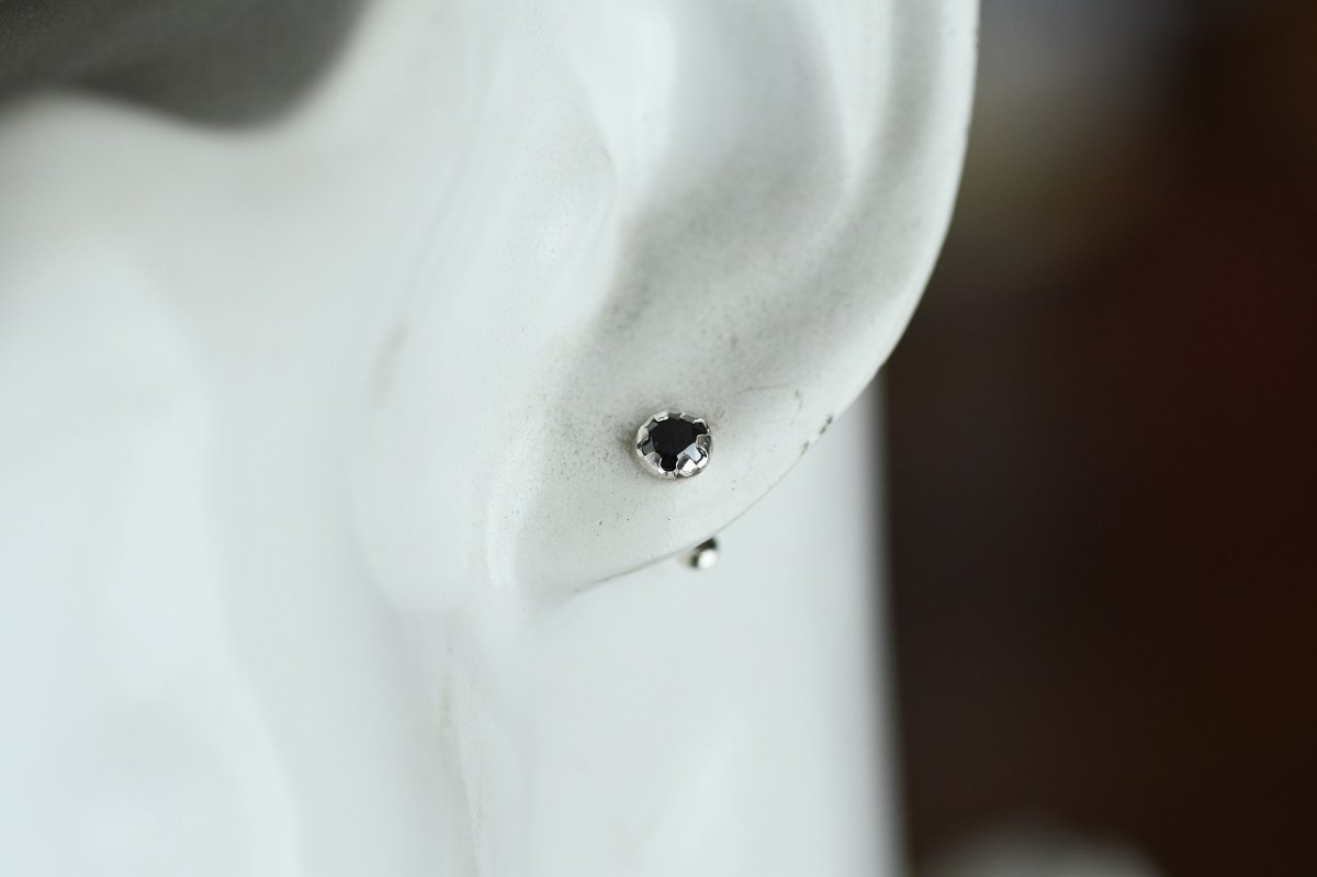 画像8: 空を傍に〜ブラックダイアモンド〜 (8)