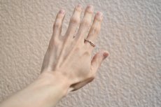 画像8: 煌く星々の物語〜アメジスト〜 (8)