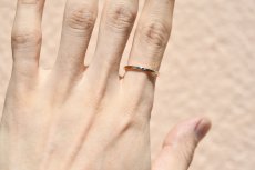 画像9: 豊穣〜ブラックダイアモンド〜 (9)