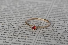 画像7: 憧憬〜真紅〜 (7)