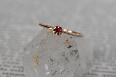 画像6: 憧憬〜真紅〜 (6)